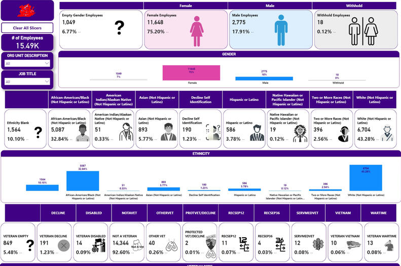 Power BI Demographic